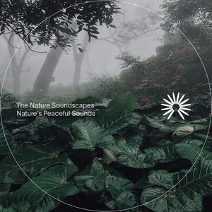 “The Nature Soundscapes”的封面