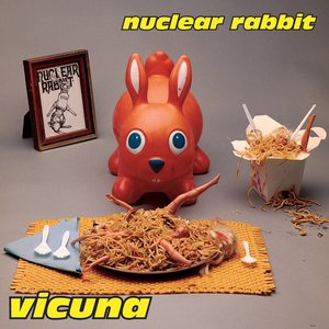 Image for 'Vicuna'