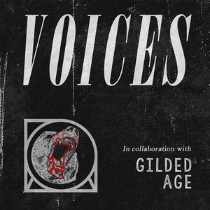 “Voices”的封面