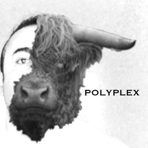 Image for 'PolyPlex'