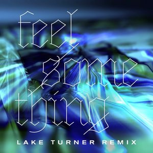 “Feel Something (Lake Turner Remix)”的封面