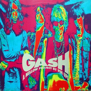 Image for 'Gash - A Mellow Project by Pin Ups'