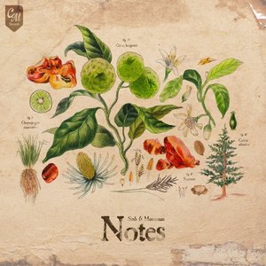 Image for 'Notes'