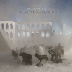 “The Great Awakening”的封面