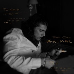 Image for 'Animal'