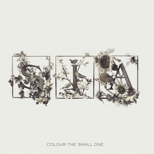 Immagine per 'Colour the Small One [16 Tracks]'