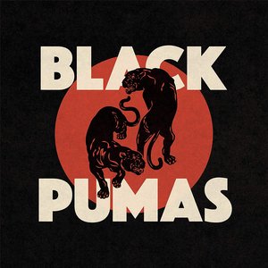 Изображение для 'Black Pumas'