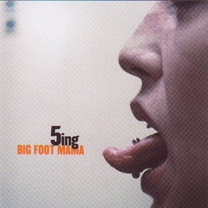 “5ing”的封面