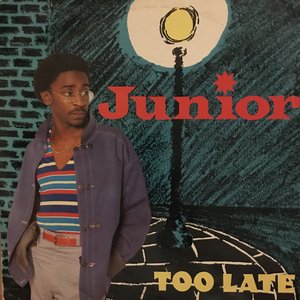 Image for 'Too Late'