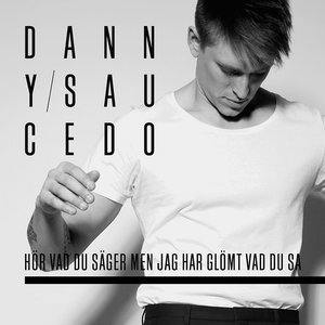“Hör vad du säger men jag har glömt vad du sa”的封面