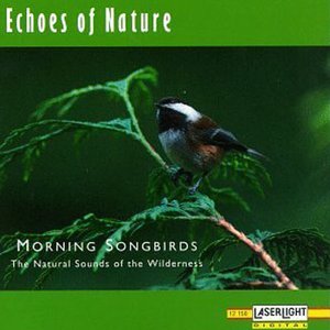 “Morning Songbirds”的封面