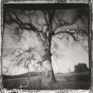 Image for 'Daylight Breaking'