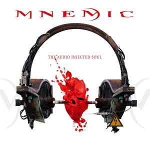 “The Audio Injected Soul”的封面