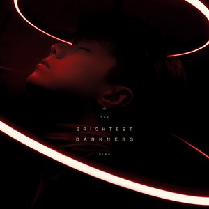 'The Brightest Darkness' için resim