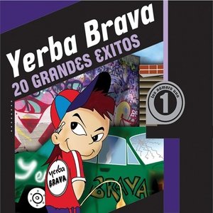 Image for '20 Grandes Exitos'