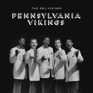 Image for 'The Pennsylvania Vikings'