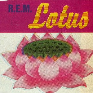 Image for 'Lotus'