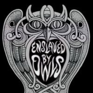 “Enslaved by Owls”的封面