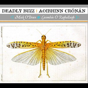 “Deadly Buzz | Aoibhinn Crónán”的封面