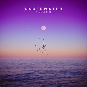 Image for 'Underwater'