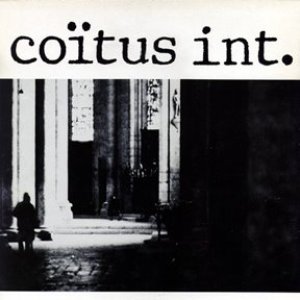 “Coitus Int”的封面