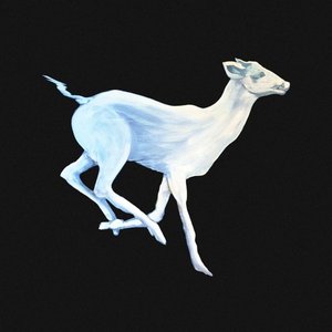 “Gift Horse”的封面