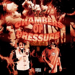 Bild för '36 Chambers Of Pressure, Vol. 2'