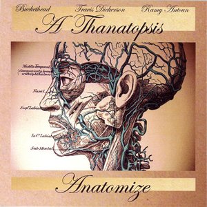 “Anatomize”的封面