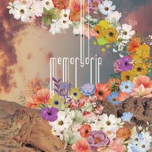 “memorydrip”的封面