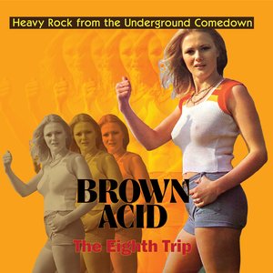 Image pour 'Brown Acid - The Eighth Trip'