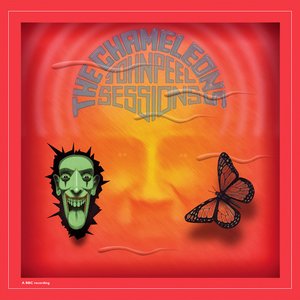 Zdjęcia dla 'John Peel Sessions'