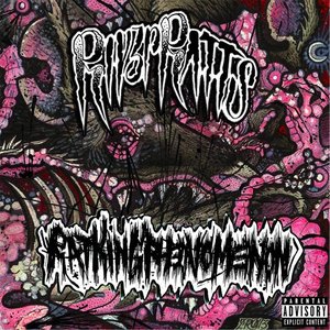 “Ratkingphenomenon”的封面