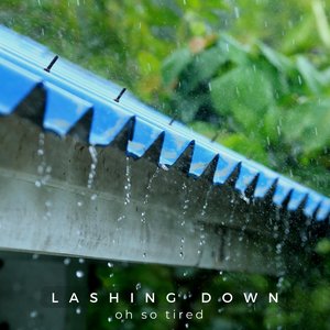“Lashing Down”的封面