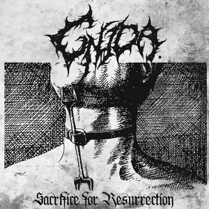 Image for 'Sacrifice for Resurrection'