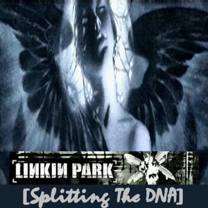 Image for 'Splitting The DNA'