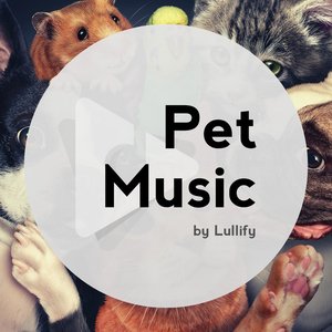 Image for 'Pet Music by Lullify'