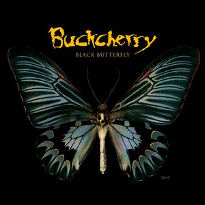 “Black Butterfly”的封面