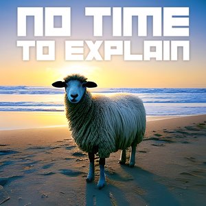 Image for 'No Time to Explain'