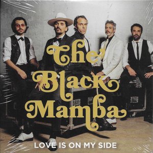 Image for 'Love Is On My Side'