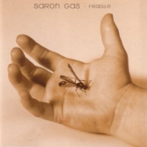 Image for 'Fragile (as Saron Gas)'