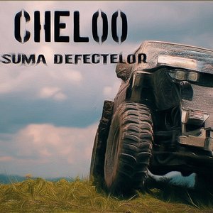 Image for 'Suma Defectelor'