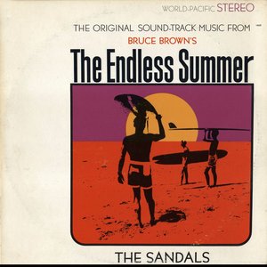 Image for 'The Endless Summer Soundtrack'