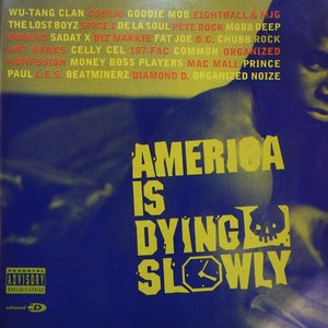 Image pour 'America Is Dying Slowly'