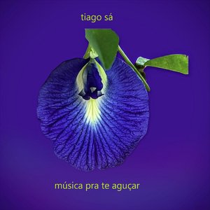 Image for 'Música pra Te Aguçar'