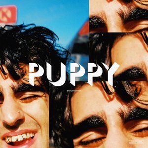 Image for 'PUPPY'
