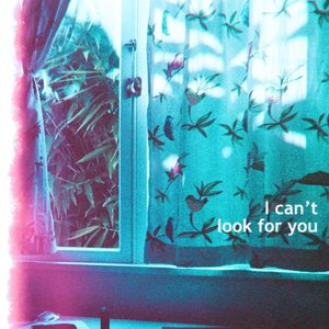 Image for 'I Can't Look For You'