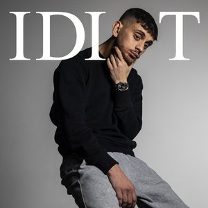 Image for 'IDIOT'