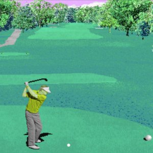 Image for 'US Golf 95'