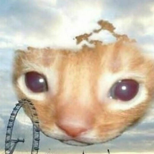 billyamaysed