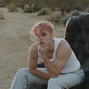 “David Hugo”的封面